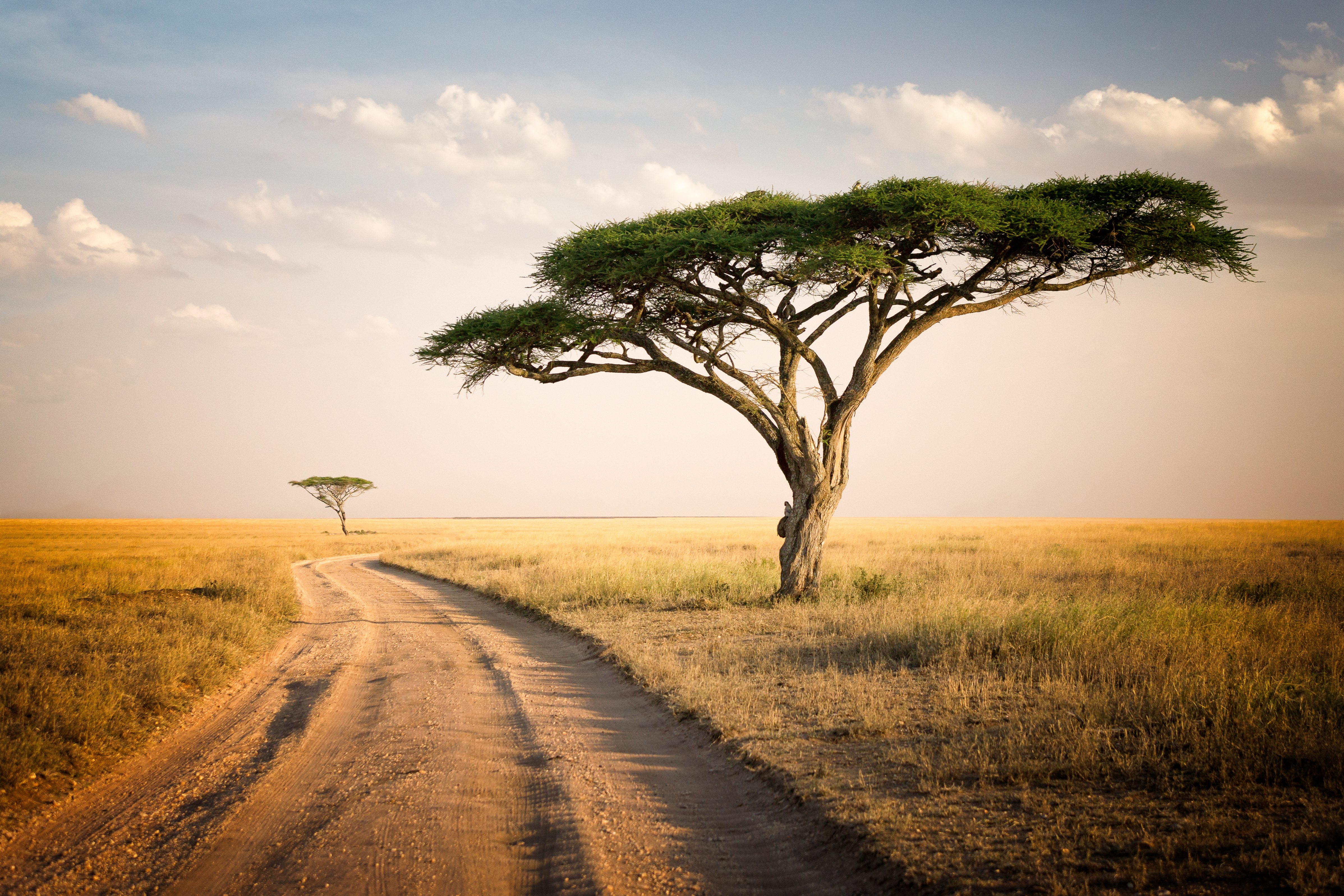Uganda