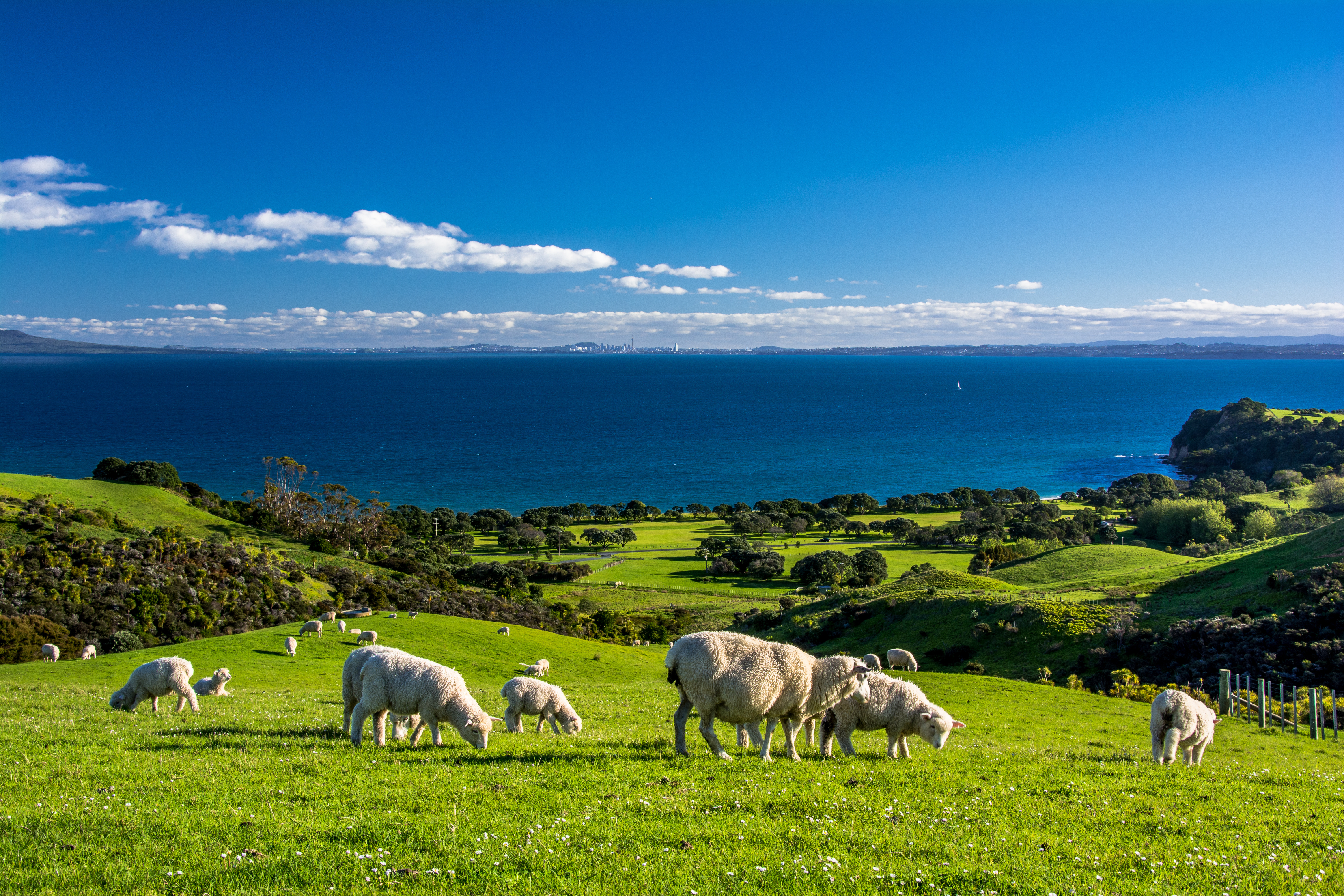 New Zealand