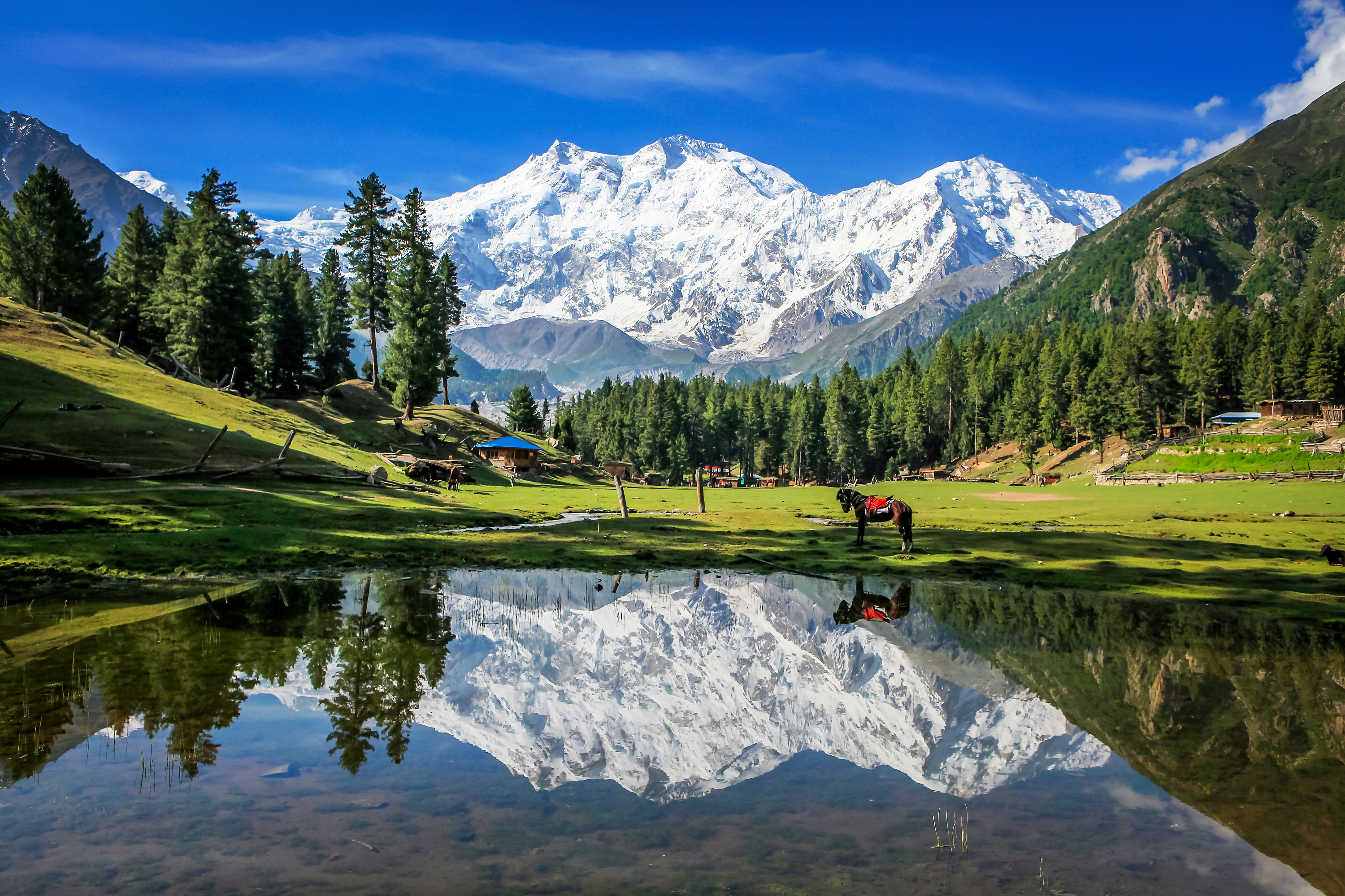 Pakistan