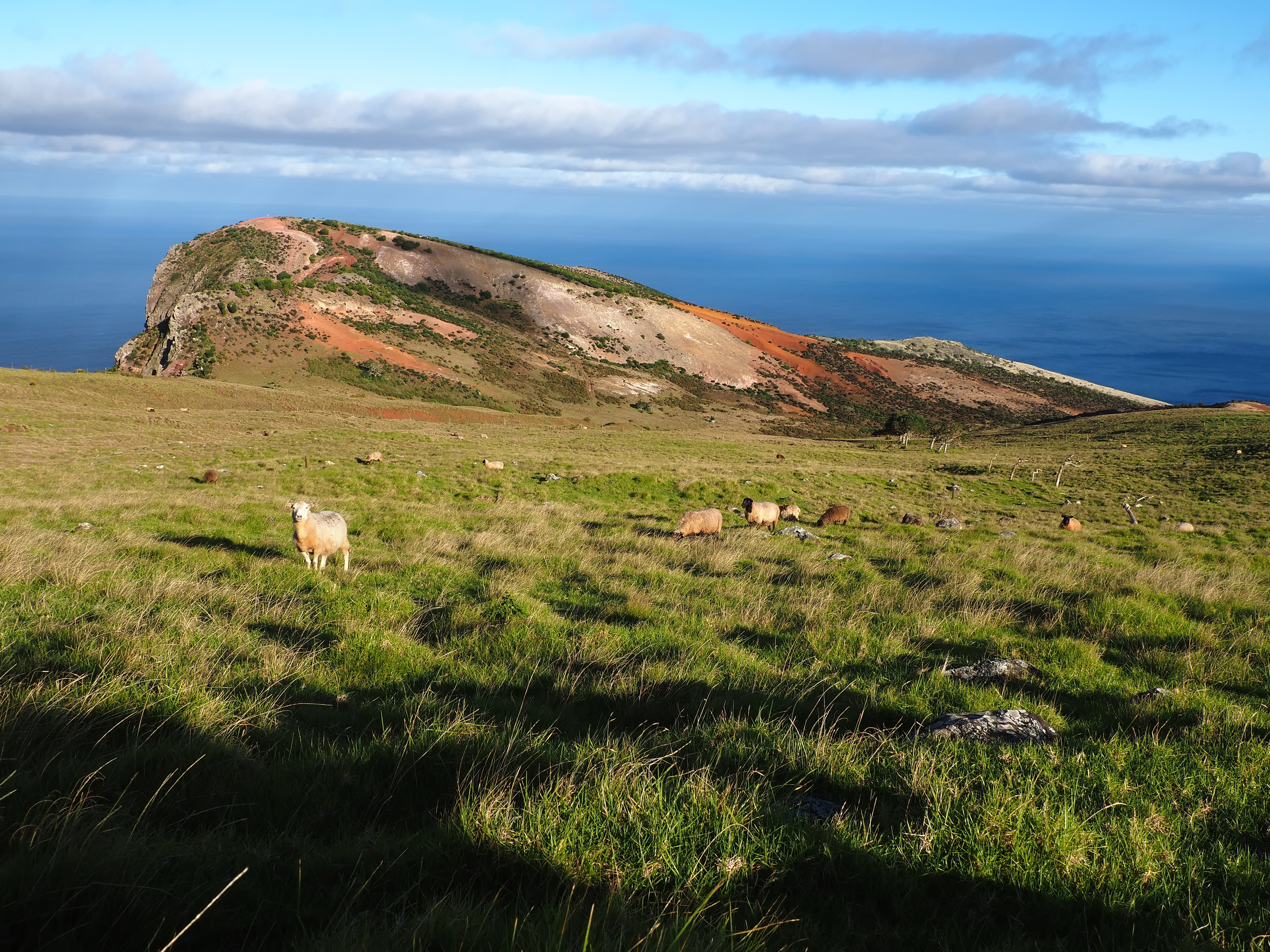 Saint Helena