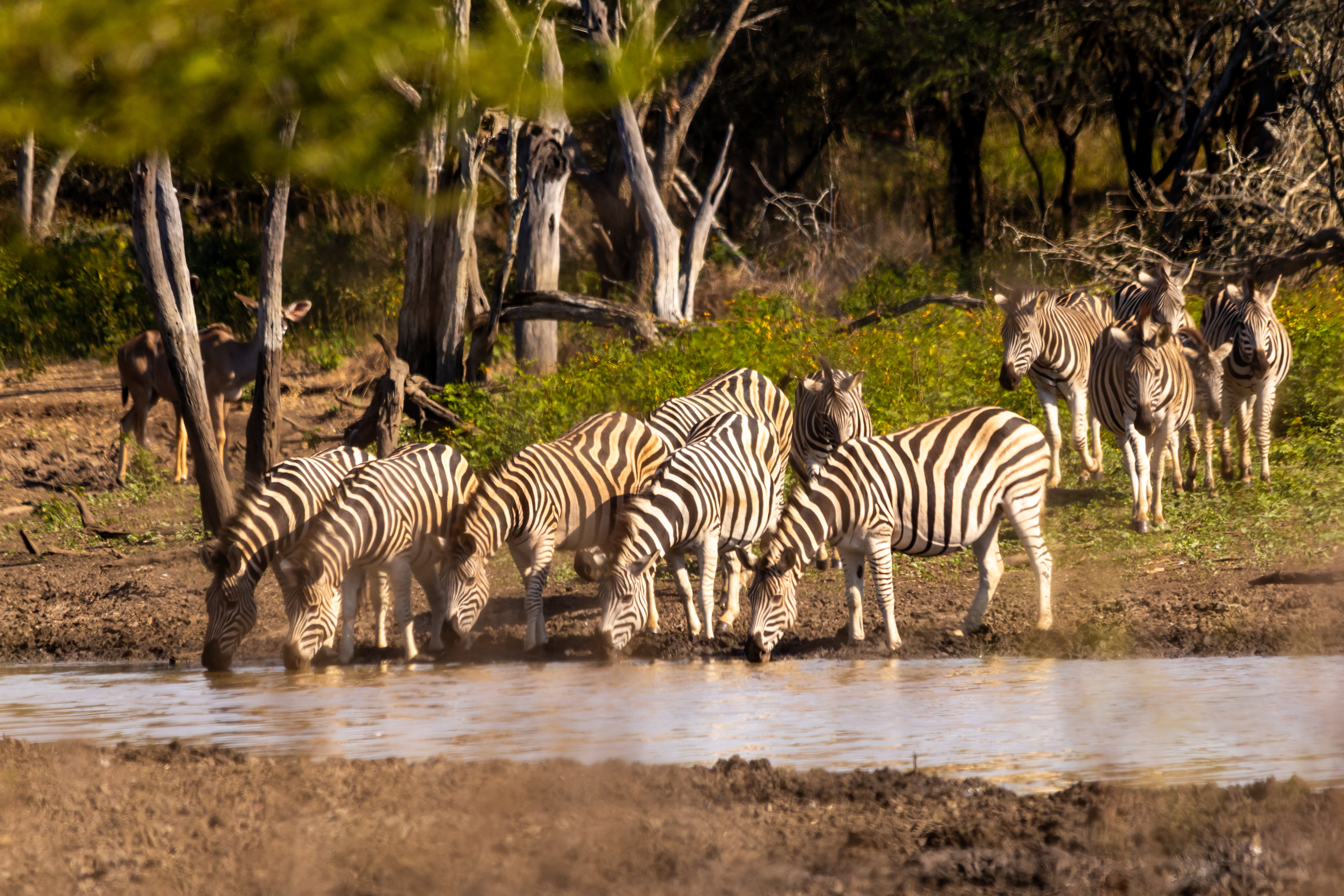 Swaziland