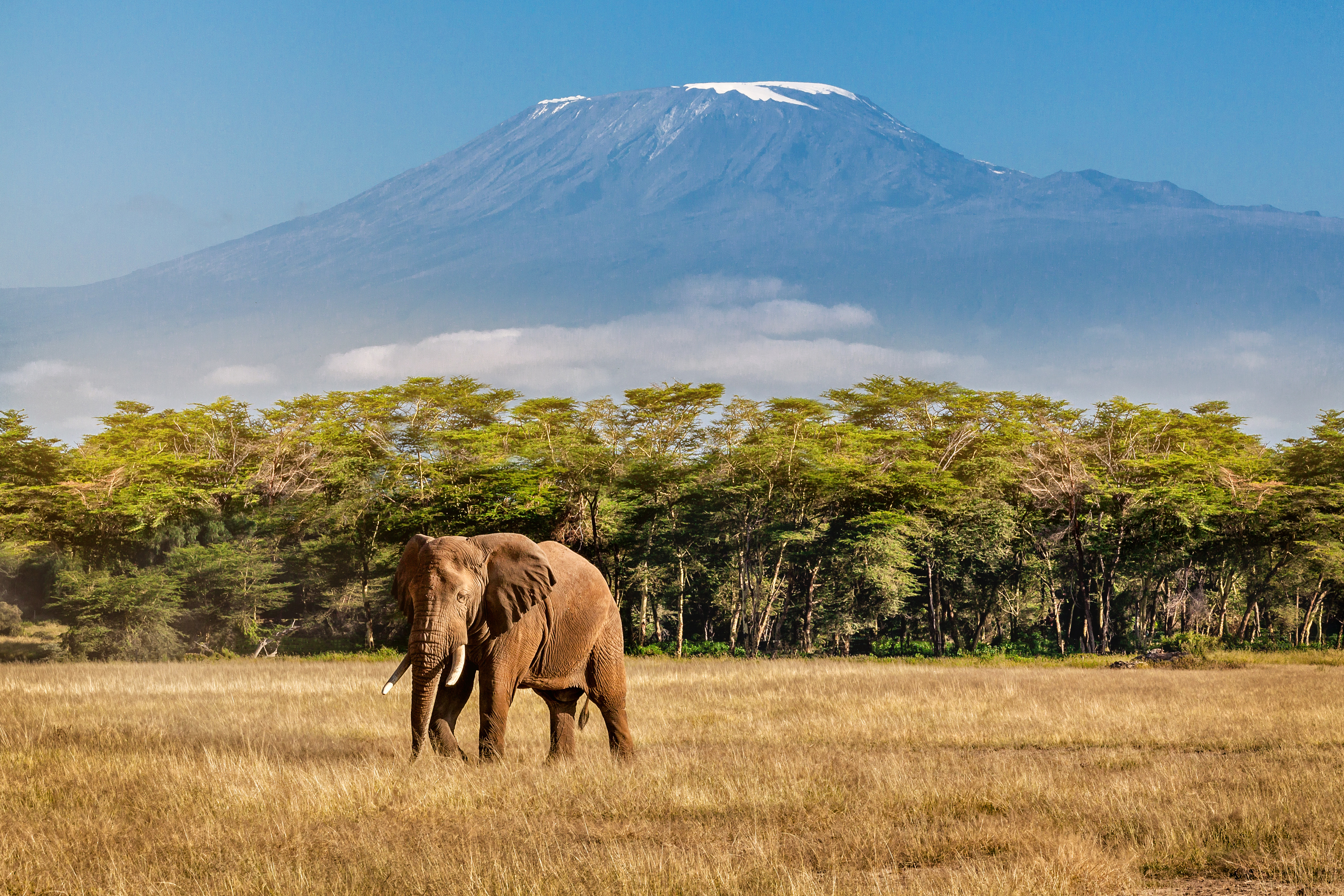 Tanzania