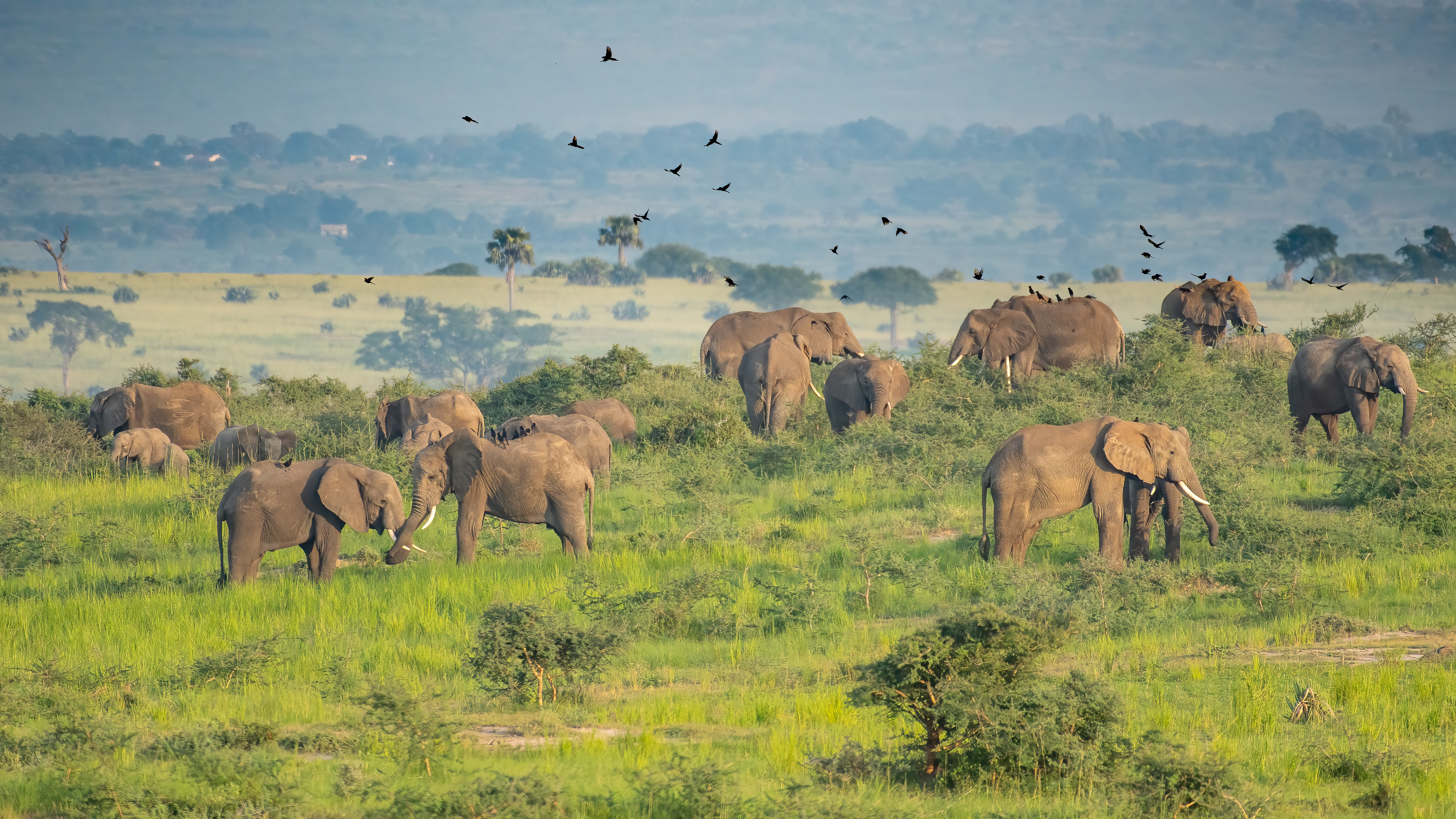 Uganda
